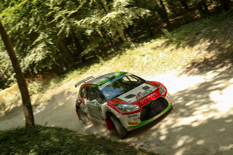 Illustration for article titled Tons Of Classic Rally Cars? Tons Of Classic Rally Cars!
